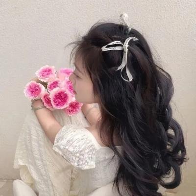 大汉天子2：汉武雄风